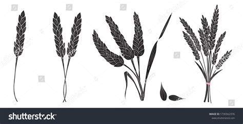 155,095 Black And White Wheat Images, Stock Photos & Vectors | Shutterstock