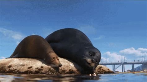 Gerald Finding Dory GIF - Gerald Finding Dory Seals - Discover & Share GIFs