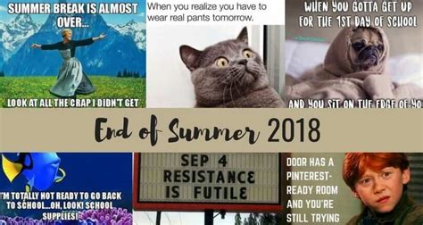 Our Favorite Back To School Memes For 2018 | Plymouth Rock Teachers Lounge