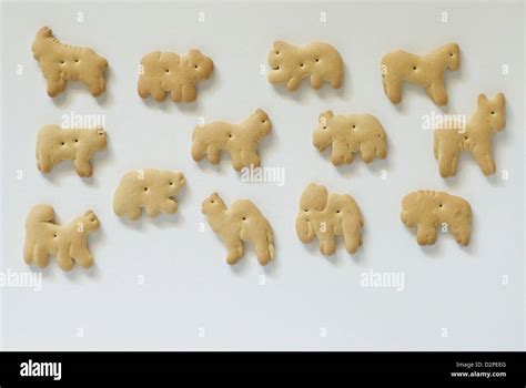 Animal Crackers arranged on a white background Stock Photo - Alamy