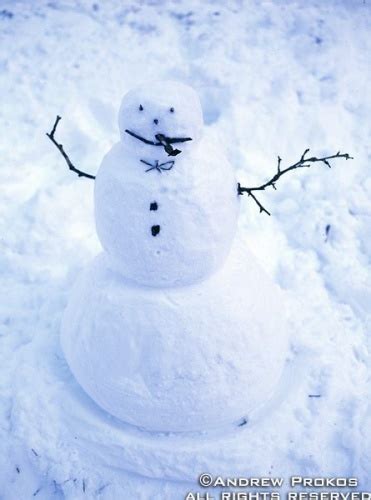 Central Park Snowman - Framed Photograph by Andrew Prokos