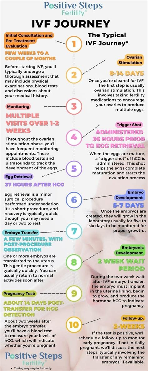 The IVF Process And Timing Explained | A Complete Overview