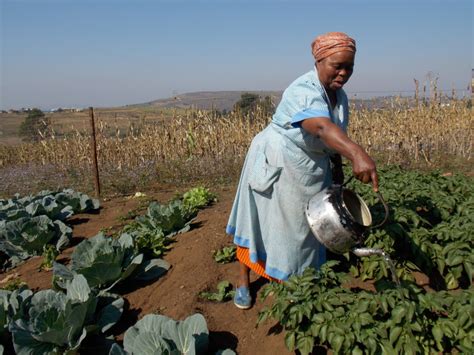 South Africa: Increasing Climate Resilience in Small-Scale Farmers ...