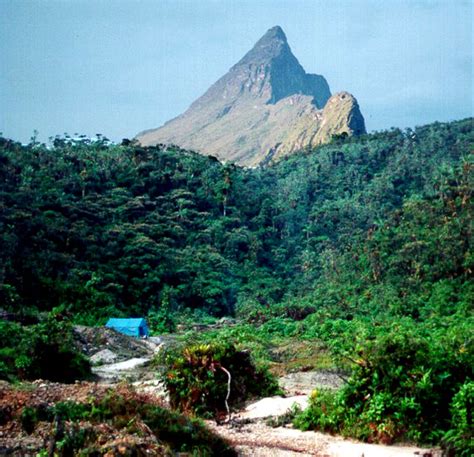 Pico da Neblina Mountain Information