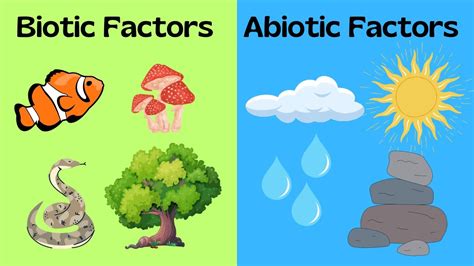 Biotic and Abiotic Factors - YouTube