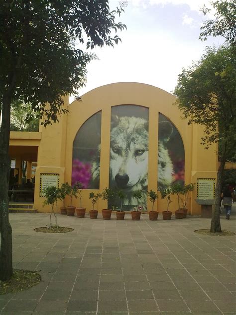 Zoologico De Chapultepec