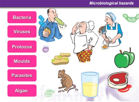 Microbiological Hazards – Food Safety Training