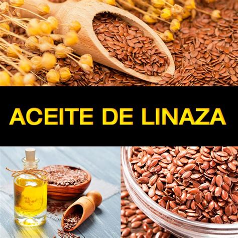 Aceite de linaza: para qué sirve, efectos secundarios y beneficios para tu salud - La Guía de ...