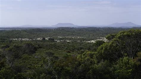 Coffin Bay National Park — Visit Coffin Bay