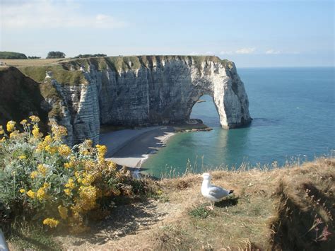 The Cliffs of Etretat Wallpapers Images Photos Pictures Backgrounds