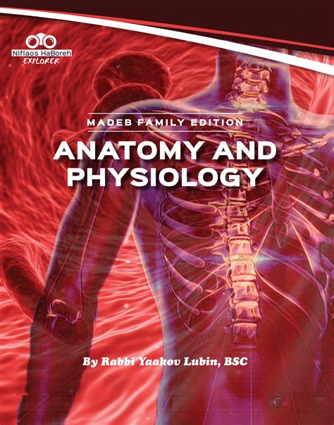 Anatomy and Physiology – The Jewish Center for Science