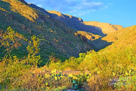 Dog Canyon NM Oliver Lee Memorial State Park Photograph by Roena King | Pixels