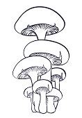Free clip art "Mushrooms" by johnny_automatic
