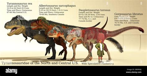 Size reference chart of various Tyrannosaurids from North & Central U.S ...