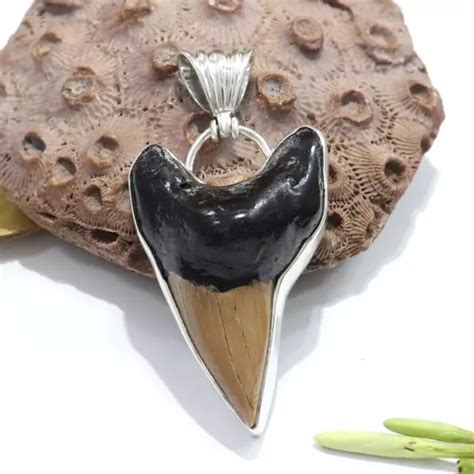 NATURAL BROWN FOSSIL Megalodon Shark Tooth Pendant Necklace Best Jewelry Gift $113.99 - PicClick