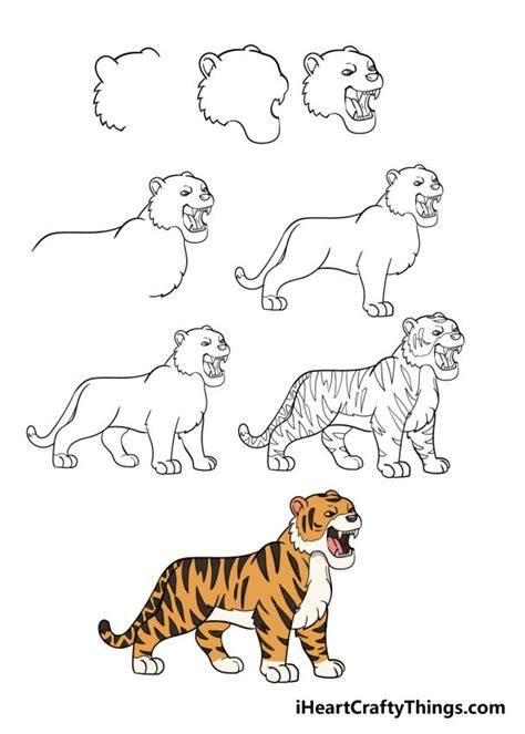 Tiger Drawing - How To Draw A Tiger Step By Step