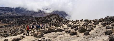 Lemosho Route, Mount Kilimanjaro | Kilimanjaro Trails