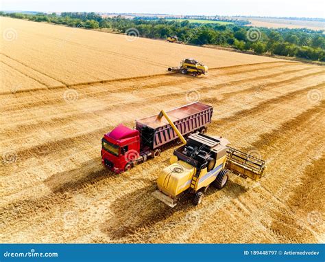 Aerial Drone View. Overloading Grain from Combine Harvesters into Grain ...