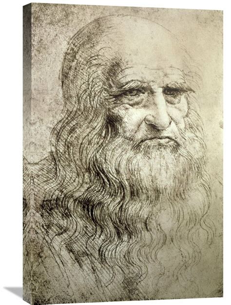 Leonardo Da Vinci Self Portrait Drawing