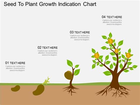 73283006 Style Concepts 1 Growth 4 Piece Powerpoint Presentation Diagram Infographic Slide ...