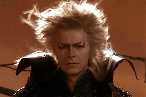 Labyrinth GIFs - Find & Share on GIPHY