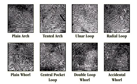 Introduction to Fingerprint Identification