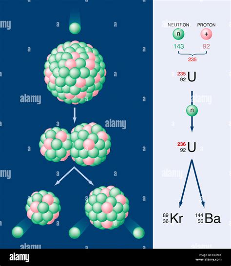 Nuclear Fission Of Uranium 235 Stock Photo - Alamy