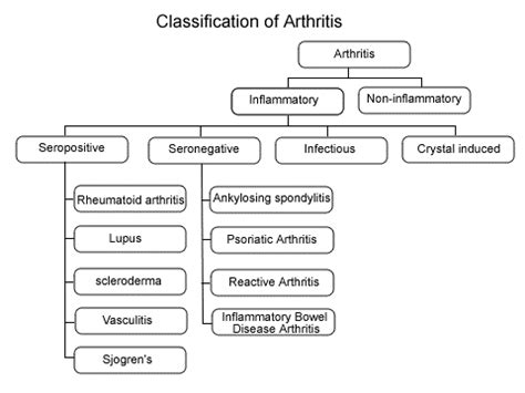 What is meant by Seronegative Arthritis? - Dr Lal PathLabs Blog