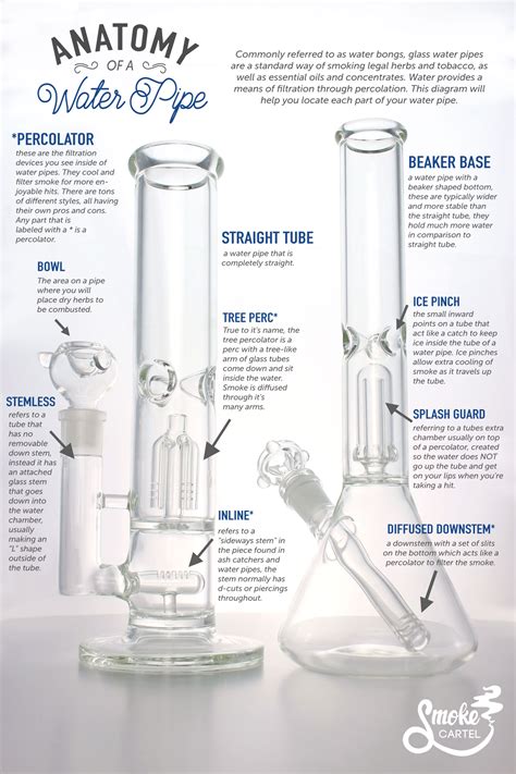 How Does a Bong Work? A Guide to the Water Pipe | Leafly