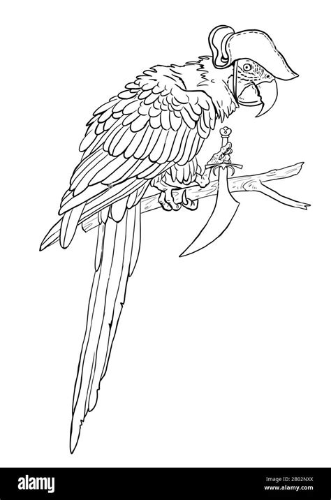 Pirate Parrot Coloring Page