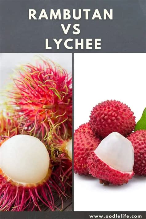 Rambutan vs Lychee - Differences? - acethekitchen.com