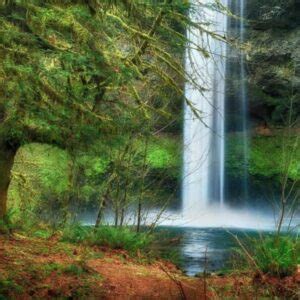 Willamette Valley Waterfalls & Wine Tour - Evergreen Escapes