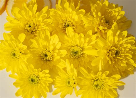 Bouquet of vibrant yellow flowers · Free Stock Photo