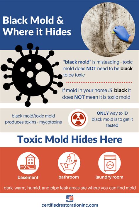 What are the symptoms of black mold exposure? | Water Damage Restoration & Flood Cleanup ...