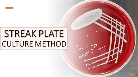 Streak plate culture method - YouTube