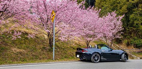 Mazda Roadster, Miata, Roadsters