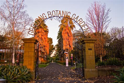 Geelong Botanic Gardens | DangsPix | Flickr