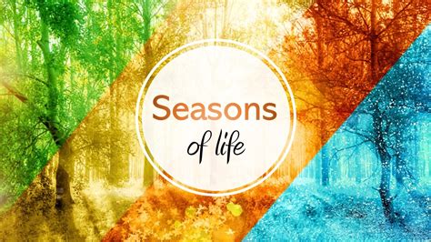 Seasons of life | New Birth Evangelical Baptist Church