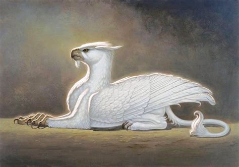 Paul Kidby - griffon gryphon #Mythical #Fantasy #Creature | Mythical ...