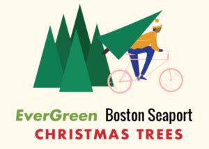 evergreen-boston-seaport-christmas-trees - EverGreen Delivery - Boston Christmas Tree Delivery