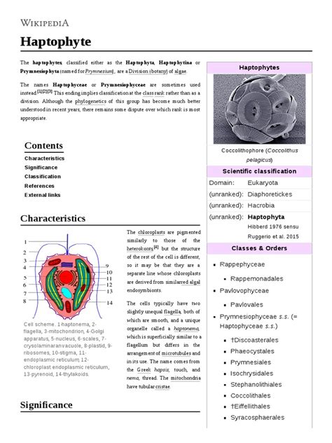 Haptophyte | PDF | Aquatic Organisms | Algae