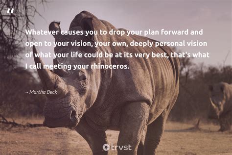 12 Rhino Quotes & Famous Sayings About Rhinoceros