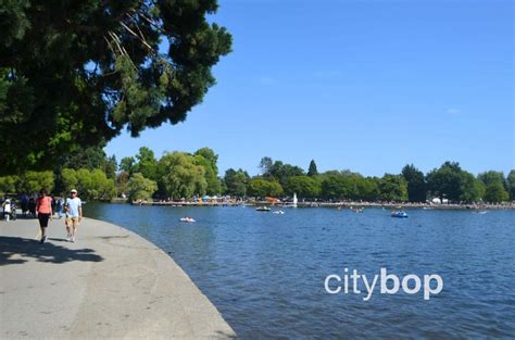 10 BEST Things to Do in Green Lake (Seattle) - CityBOP