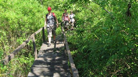 Cat Tien National Park Vietnam - Nam Cat Tien Park