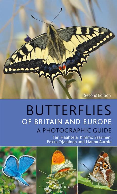 Butterflies of Britain and Europe: A Photographic Guide: Bloomsbury ...