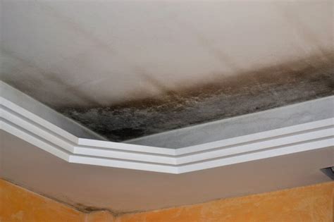 Mold in the ceiling - AHI, Inc. Consulting