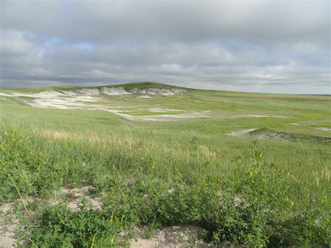 The Grasslands – The Most American Landscape | The Great Plains Trail