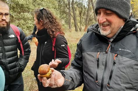 Truffle Hunting Group Tour In Serrania De Cuenca National Park ...