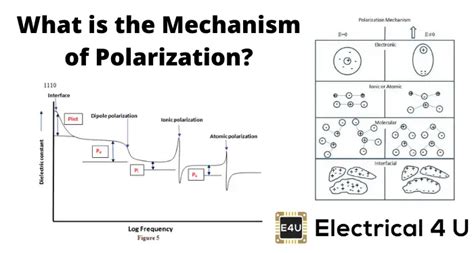 Explain the Different Types of Polarization Mechanism in Dielectrics ...