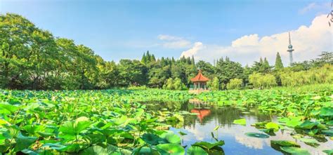 Zhongshan Park travel guidebook –must visit attractions in Qingdao ...